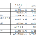 智洋创新上半年亏损 2021上市募4.35亿国联民生保荐