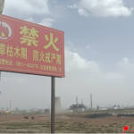 宁夏企业及垃圾侵占破坏白芨滩保护区追踪