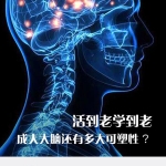 科学大家|活到老学到老！成人大脑还有多大可塑性？